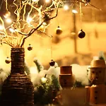 Guest house Pension Hotel Sartor Altenberg