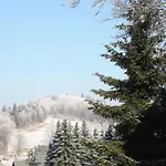 Guest house Pension Hotel Sartor 3*