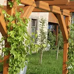 Pension Hotel Sartor Guest house 3*