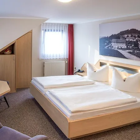 Pension Hotel Sartor Гостевой дом
