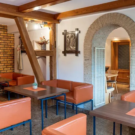 Sartor Penzion Altenberg (Krušné hory)