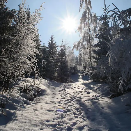 Sartor Altenberg (Krušné hory)