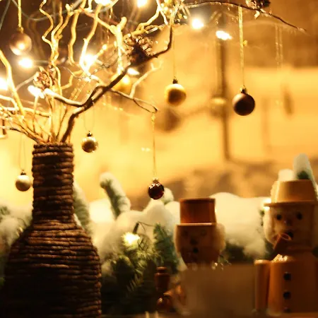 Penzion Sartor Altenberg (Krušné hory)