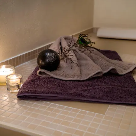 Sartor Penzion Altenberg (Krušné hory)