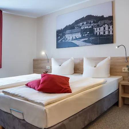 Pension Hotel Sartor Альтенберг