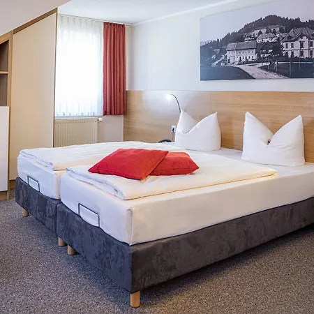 Pension Hotel Sartor
