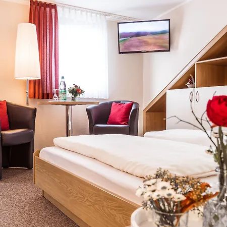 Гостевой дом Pension Hotel Sartor