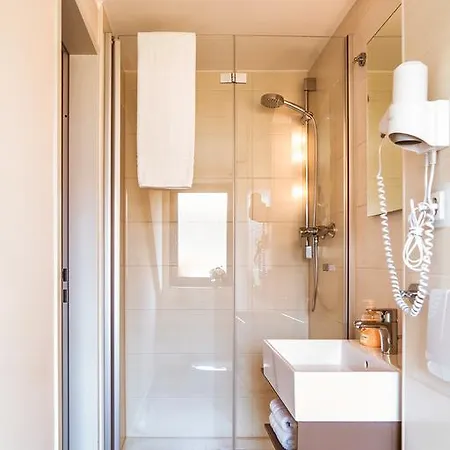 Sartor Penzion Altenberg (Krušné hory)