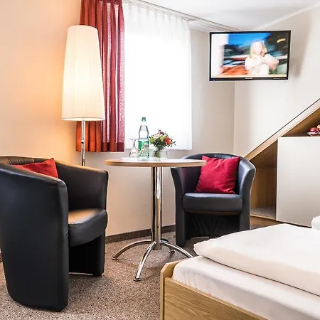 Гостевой дом Pension Hotel Sartor