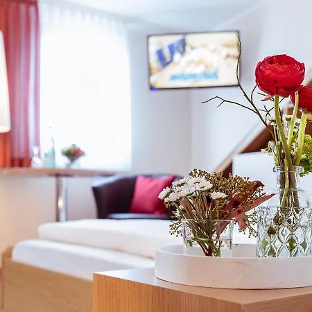 Pension Hotel Sartor Гостевой дом Альтенберг