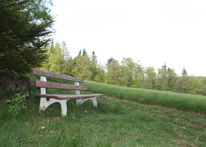 Pension Hotel Sartor Altenberg